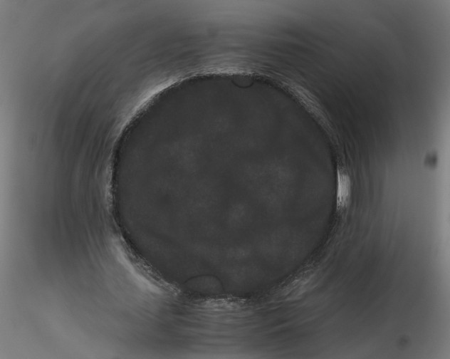 X0000116760627201001071156