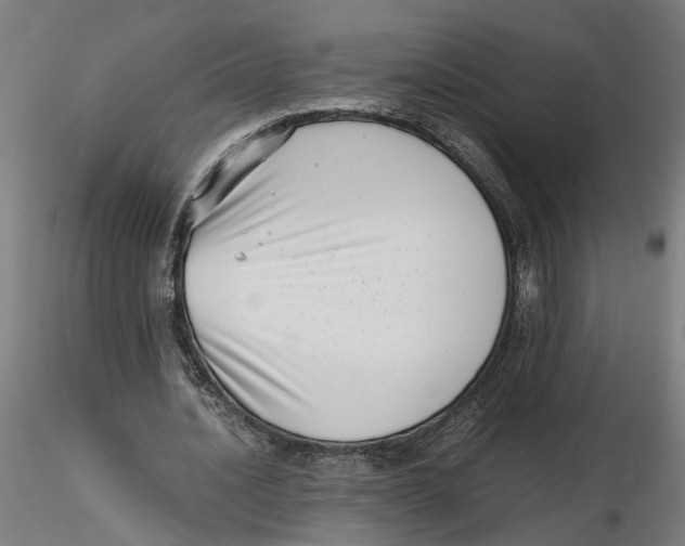 X0000116760628201001071156