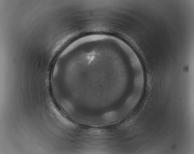 X0000116760629201001071156