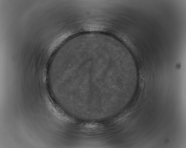 X0000116760631201001071156