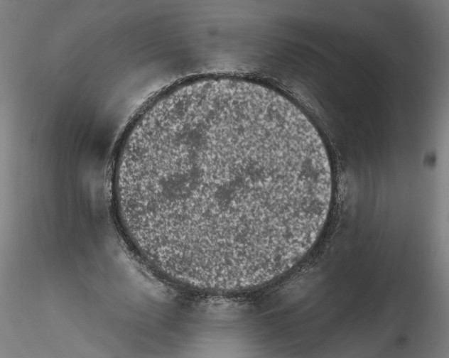 X0000116760632201001071156