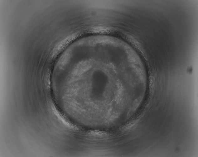 X0000116760633201001071156