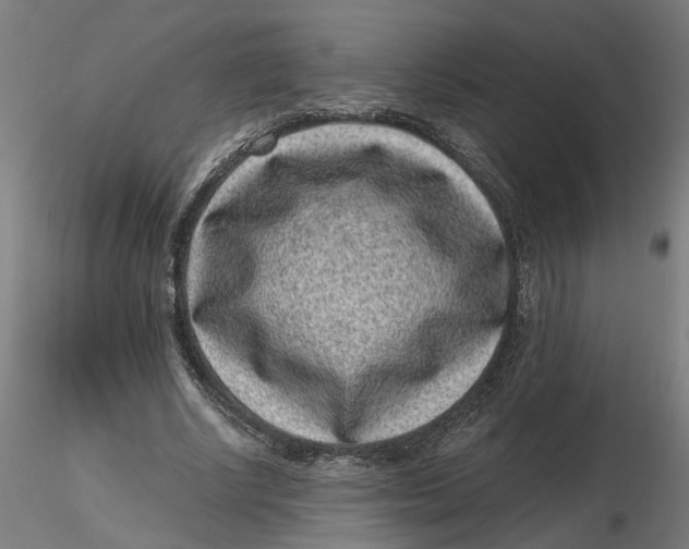 X0000116760634201001071156