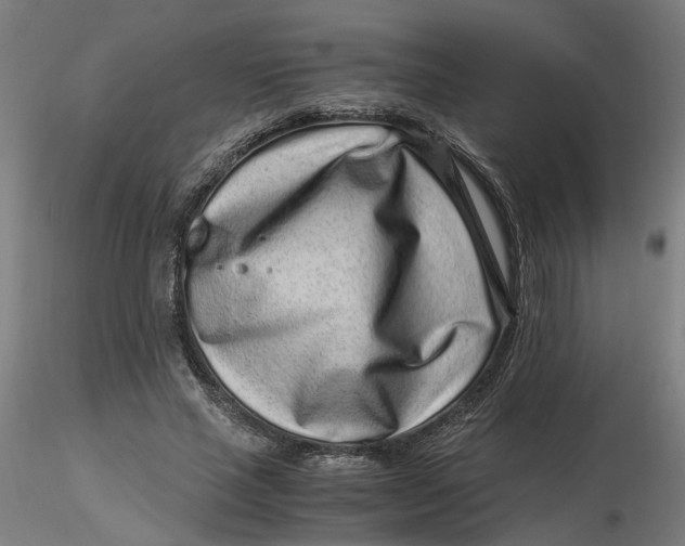 X0000116760637201001071156