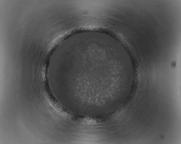 X0000116760640201001071156