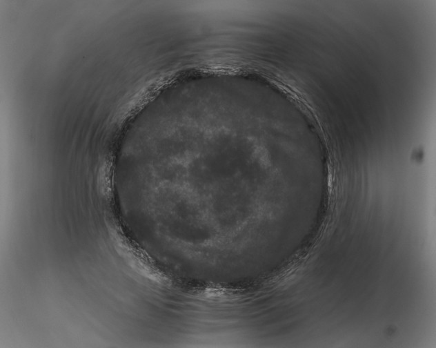 X0000116760641201001071156