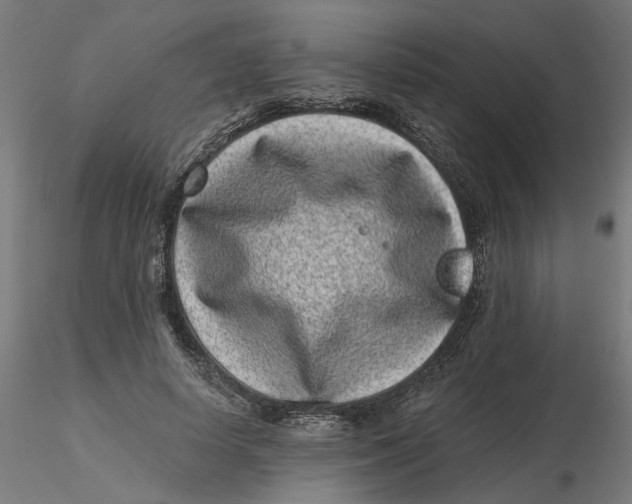 X0000116760642201001071156