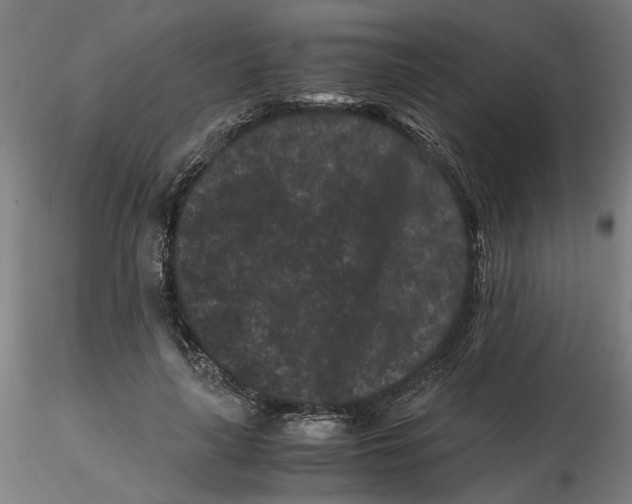 X0000116760643201001071156