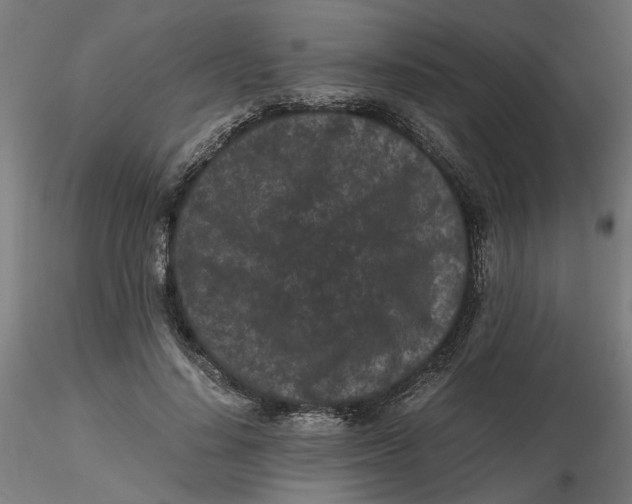 X0000116760644201001071156