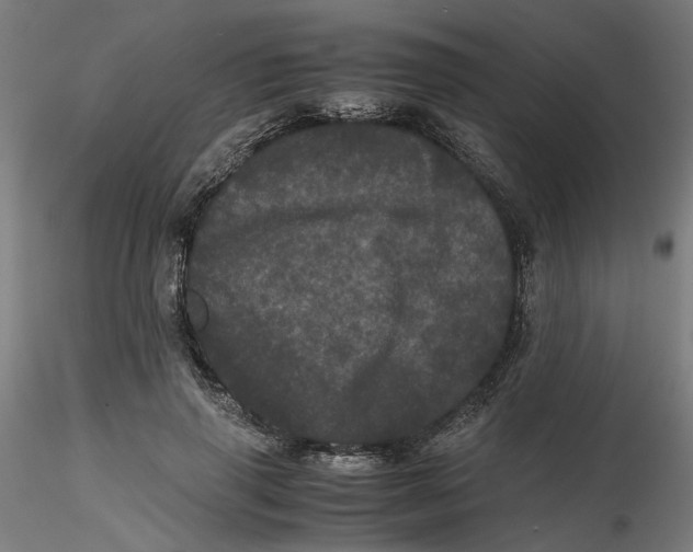 X0000116760645201001071156