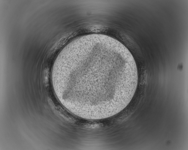 X0000116760646201001071156