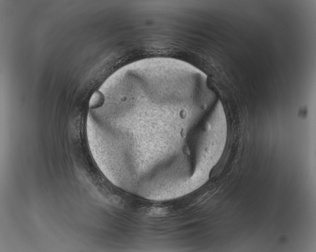 X0000116760647201001071156