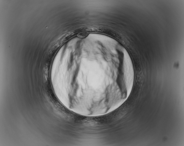 X0000116760648201001071156