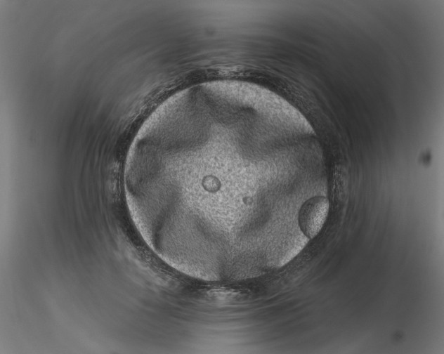 X0000116760650201001071156