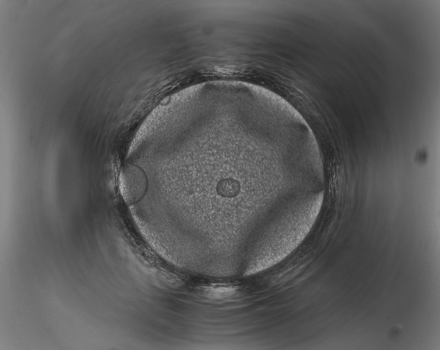 X0000116760651201001071156