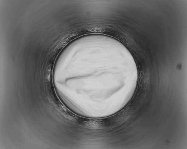 X0000116760652201001071156