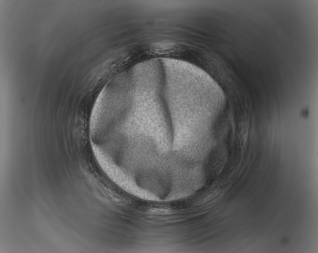 X0000116760653201001071156