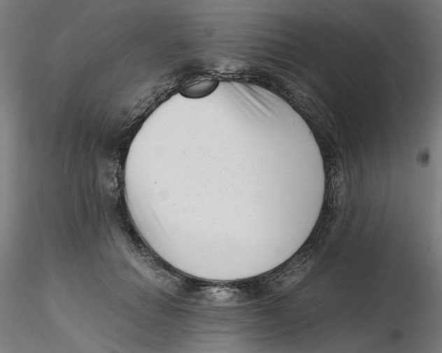 X0000116760654201001071156