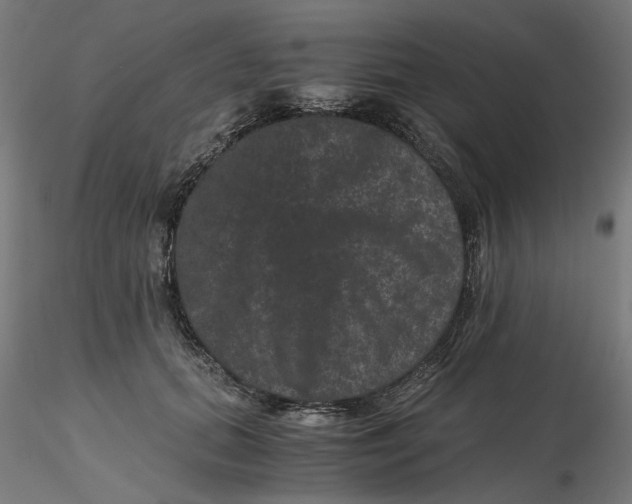 X0000116760655201001071156