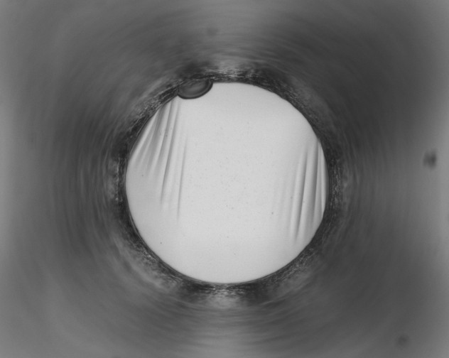 X0000116760656201001071156