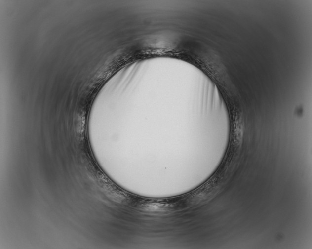 X0000116760657201001071156