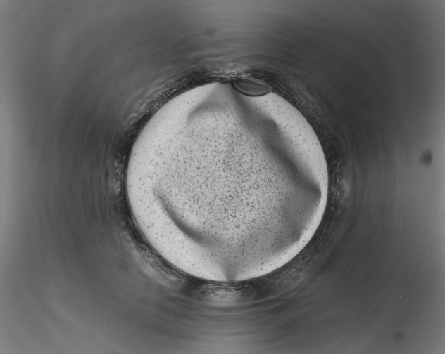 X0000116760658201001071156