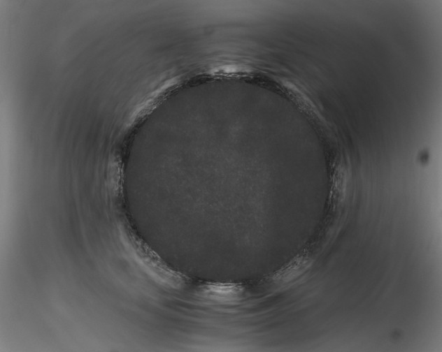 X0000116760659201001071156