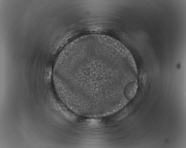 X0000116760660201001071156