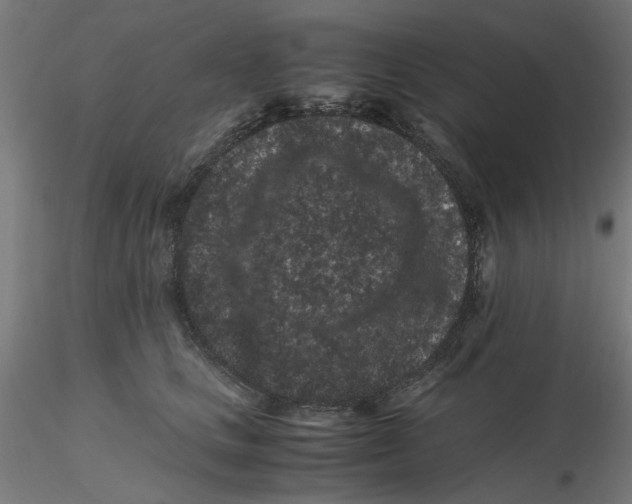 X0000116760661201001071156