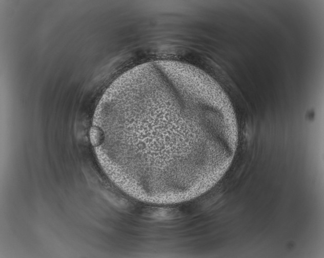 X0000116760663201001071156