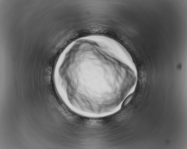 X0000116760664201001071156