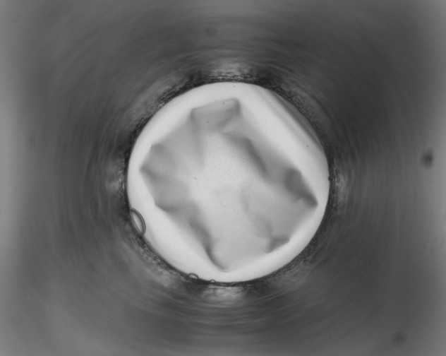 X0000116760665201001071156