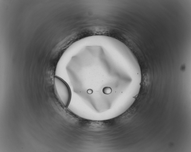 X0000116760666201001071156