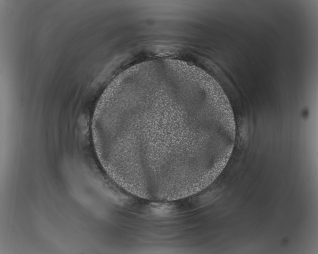 X0000116760667201001071156