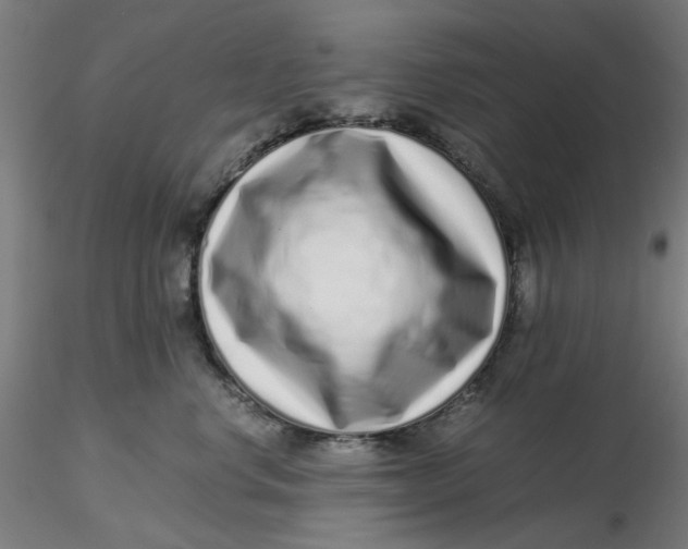 X0000116760668201001071156