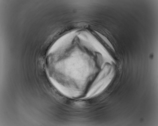 X0000116760669201001071156