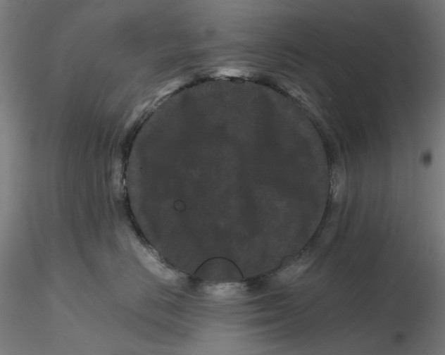 X0000116760670201001071156