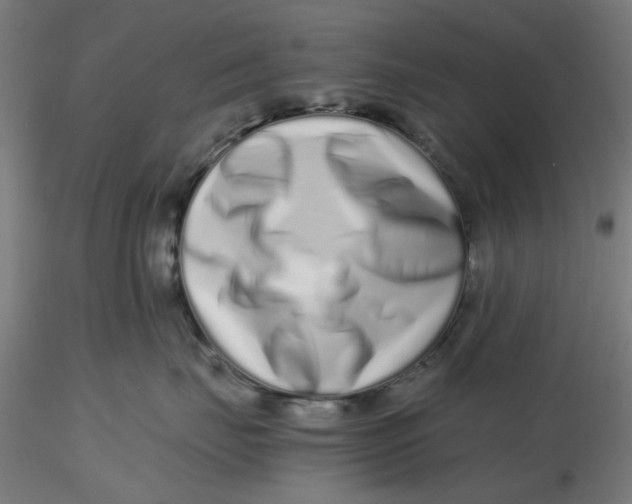 X0000116760671201001071156