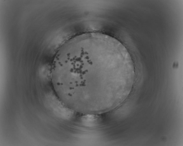 X0000116760672201001071156