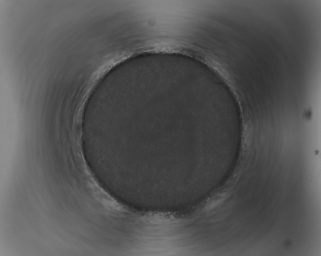 X0000116760673201001071156