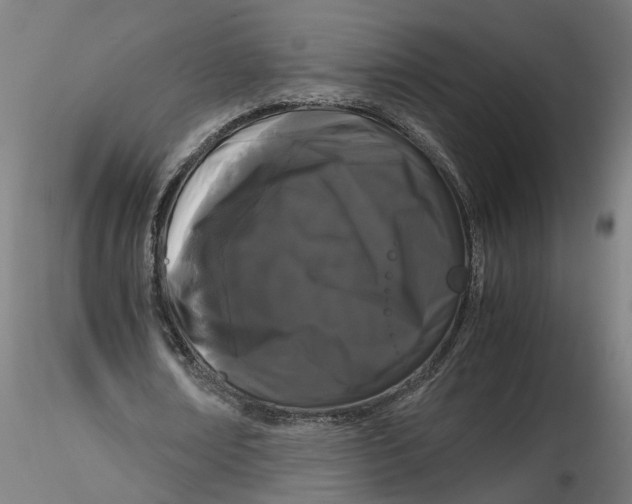 X0000116760674201001071156