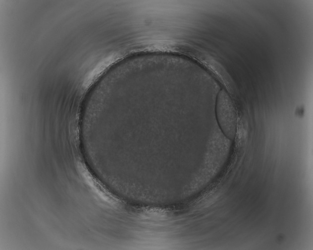 X0000116760677201001071156