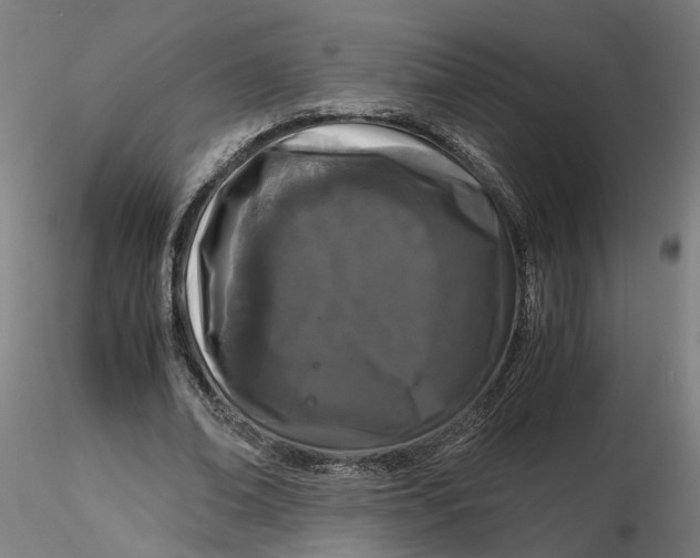 X0000116760678201001071156