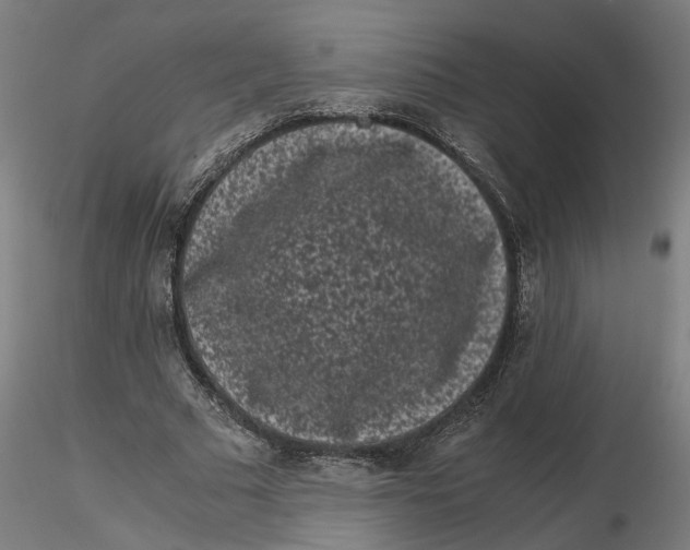 X0000116760681201001071156