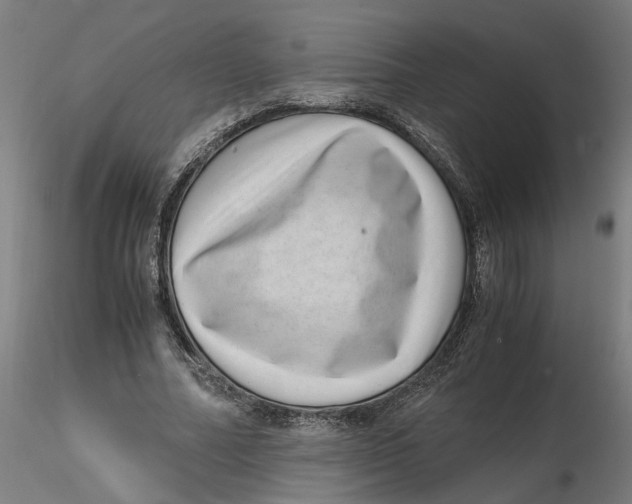 X0000116760682201001071156