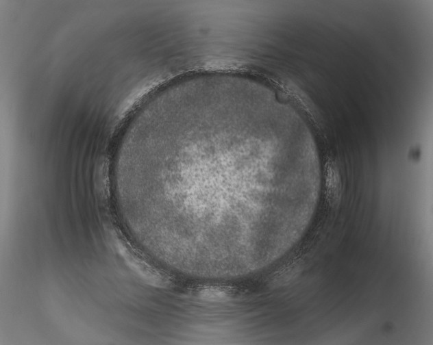 X0000116760684201001071156