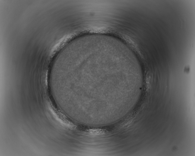 X0000116760686201001071155