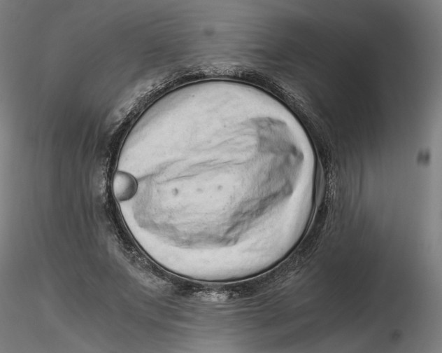 X0000116760687201001071155