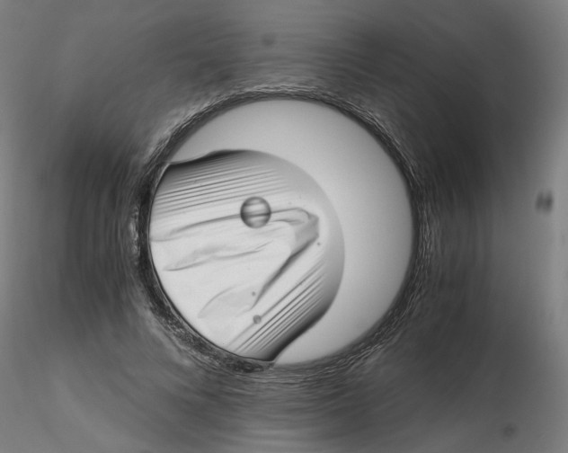 X0000116760688201001071155