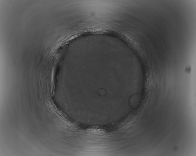 X0000116760689201001071155